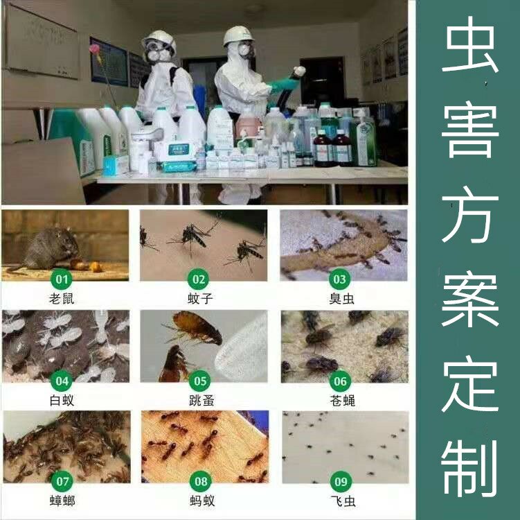 �̘I������������