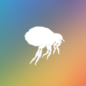 �岨�������ϵ�y